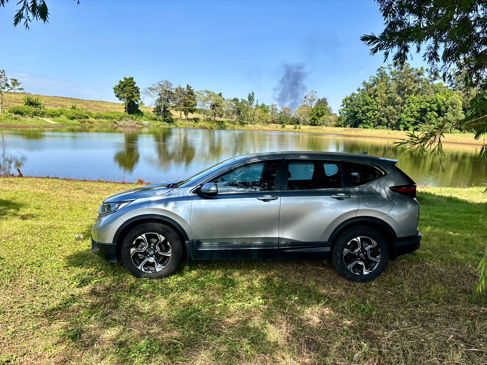 42f54e09-3d05-46d2-b9d1-917655d25457