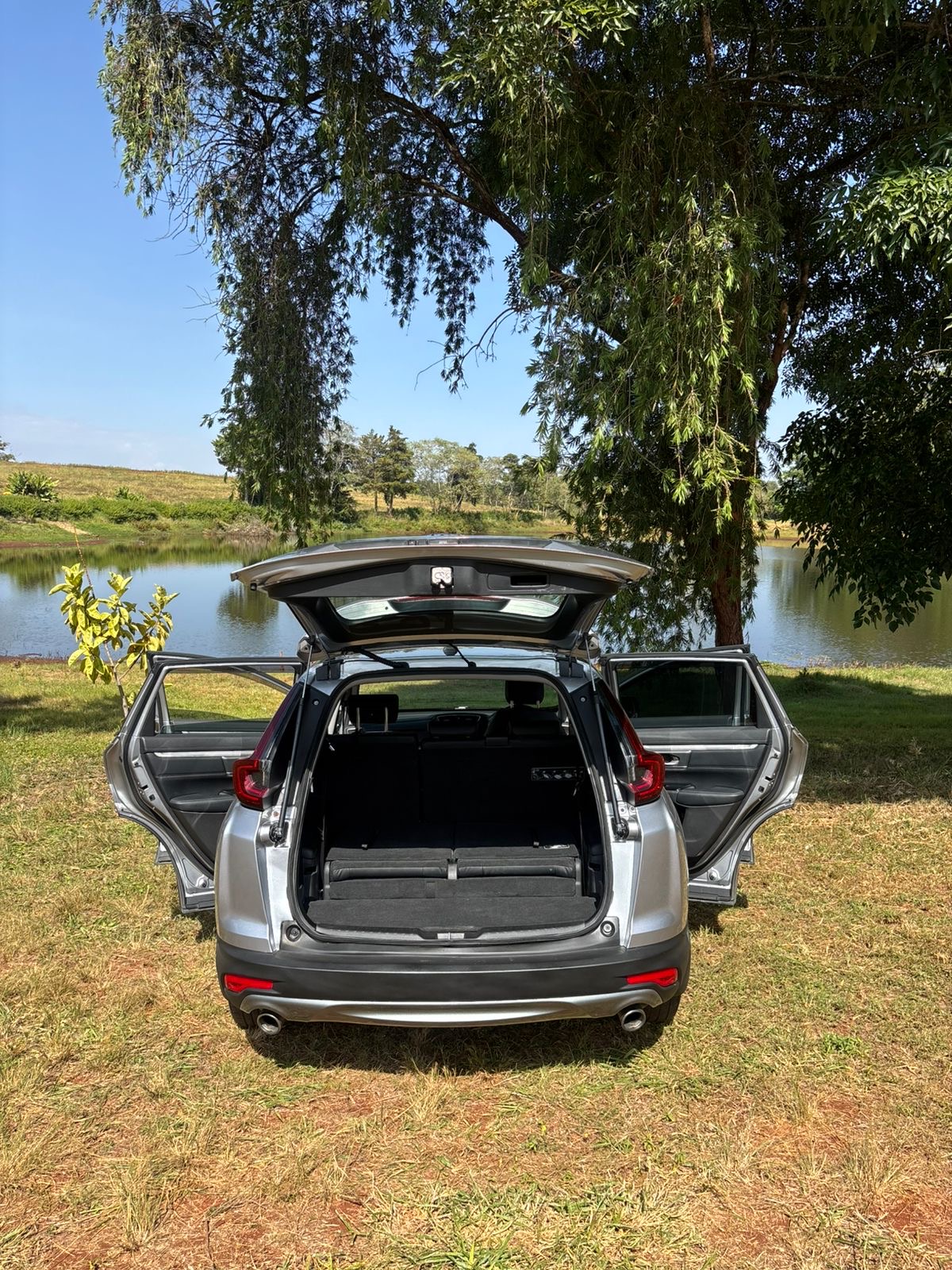 cef0bb1a-cdae-498c-bebc-a35eace284b5