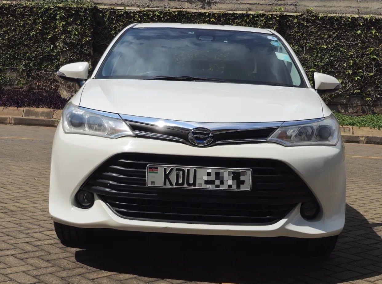 2017 Toyota Axio Hybrid