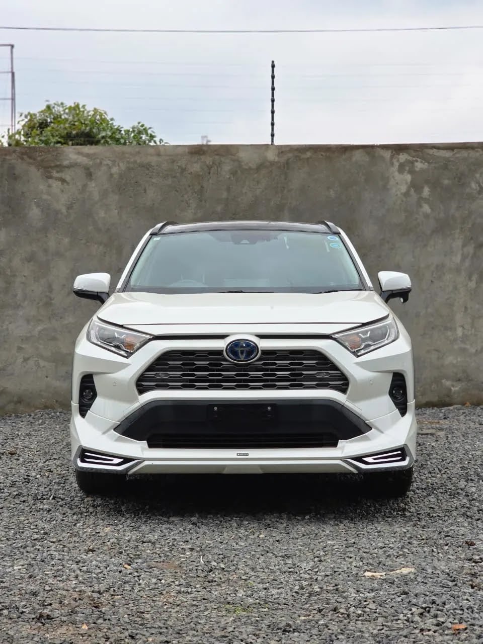 2019 Toyota RAV4 Hybrid
